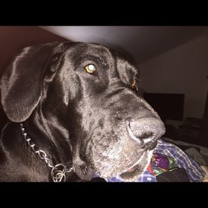 Meet your Posher, Mandi